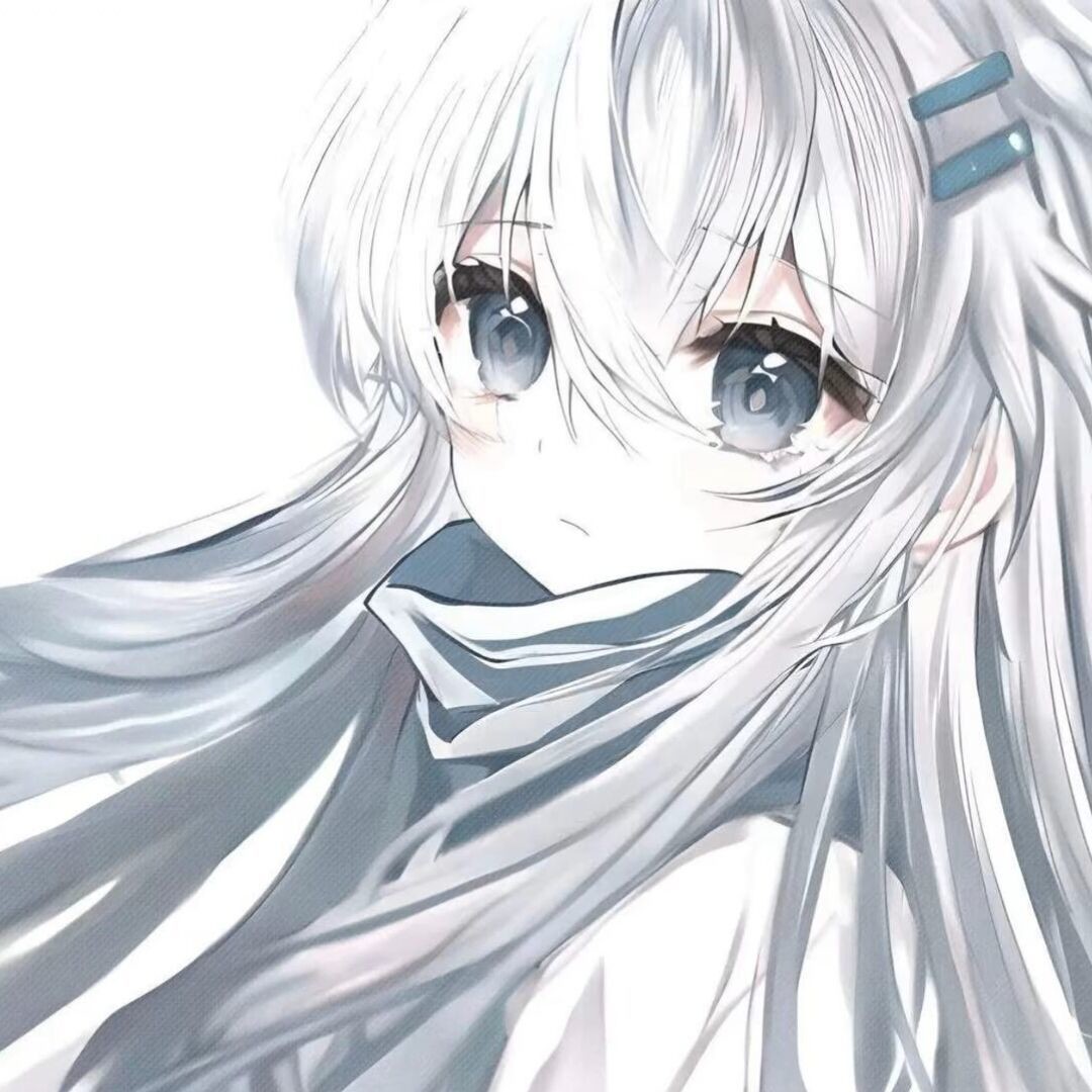 云✧雾的头像 云✧雾的头像